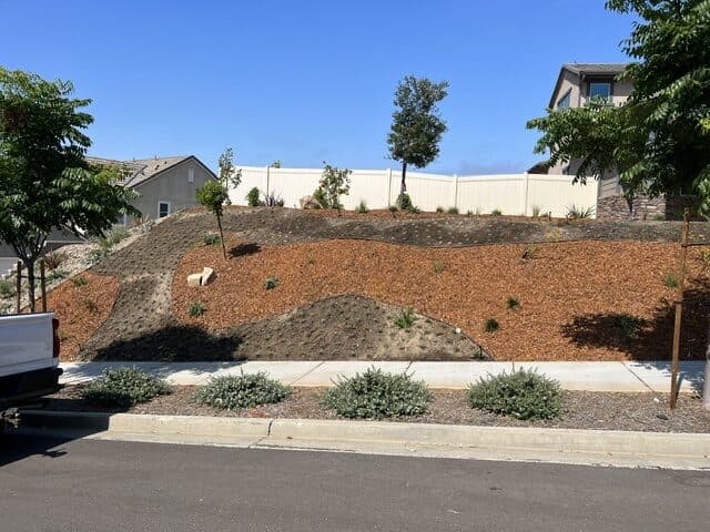 Landscaped slope, trees, and planting in front of a new Poway home