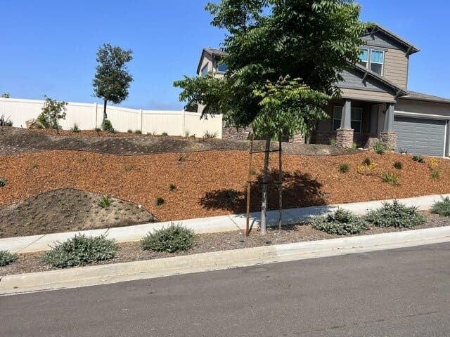 Planted slope and new home from the street in Poway